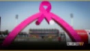 Rawalpindi Stadium to Go Pink as PSL Champions Breast-Cancer Awareness